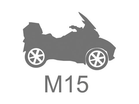 M15