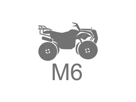 M6