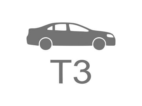 T3