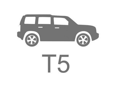 T5