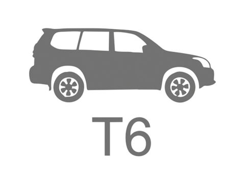 T6