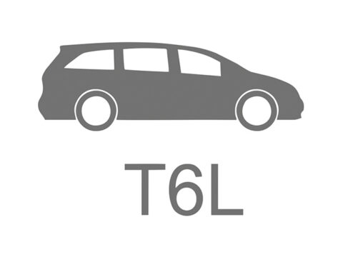 T6L