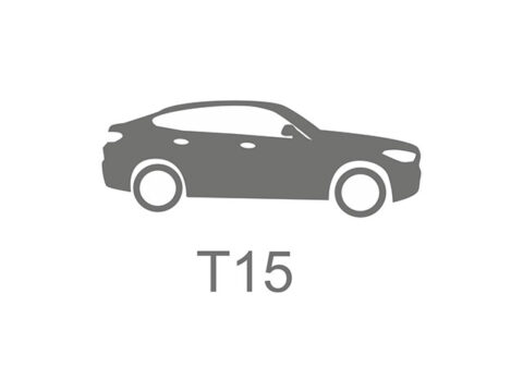 T15