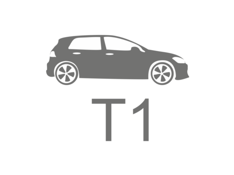 T1