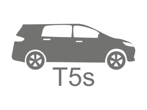 T5s